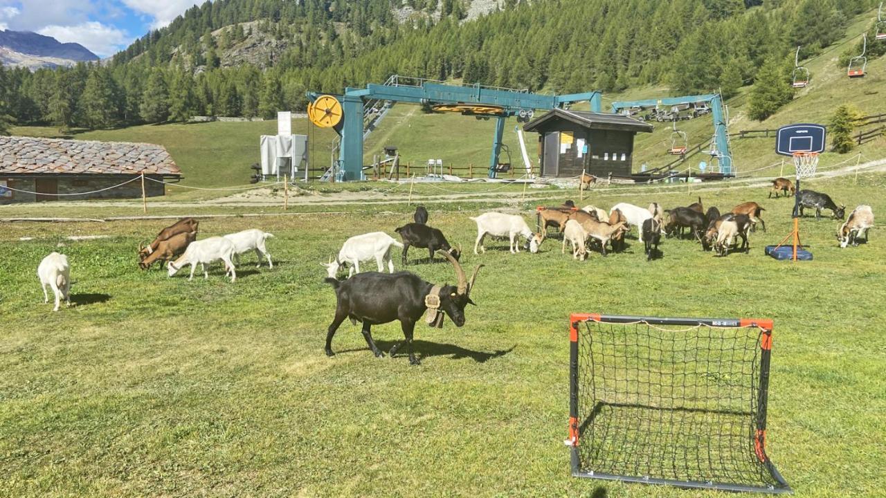 Locanda Ristorante Bar Del Lago Chamois Exterior foto